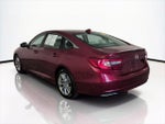 2019 Accord Thumbnail 9
