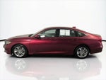 2019 Accord Thumbnail 10