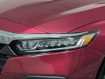 2019 Accord Thumbnail 12
