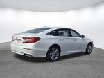 2019 Accord Thumbnail 4