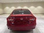 2019 Accord Thumbnail 4