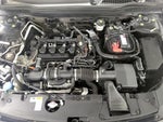 2021 Accord Thumbnail 22