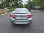 2019 Accord Thumbnail 4