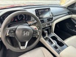 2019 Accord Thumbnail 14