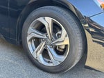 2019 Accord Thumbnail 7