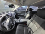 2019 Accord Thumbnail 10