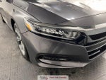 2019 Accord Thumbnail 8