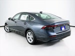 2025 Accord Thumbnail 6