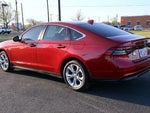 2024 Accord Thumbnail 13