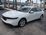 2023 Accord Thumbnail 8