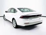 2025 Accord Thumbnail 6