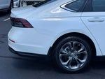 2023 Accord Thumbnail 7