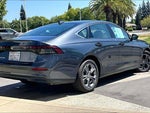 2024 Accord Thumbnail 13