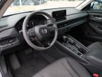 2024 Accord Thumbnail 13