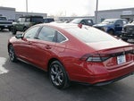 2023 Accord Thumbnail 6