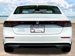 2023 Accord Thumbnail 7