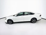 2023 Accord Thumbnail 4