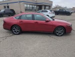 2023 Accord Thumbnail 6