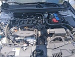 2024 Accord Thumbnail 20