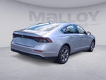 2024 Accord Thumbnail 5