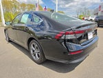 2024 Accord Thumbnail 5