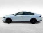 2025 Accord Thumbnail 8