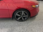 2026 Accord Thumbnail 11