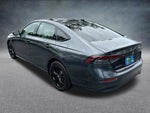 2025 Accord Thumbnail 8