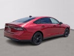 2025 Accord Thumbnail 6