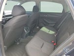 2025 Accord Thumbnail 20