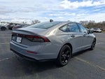 2025 Accord Thumbnail 6