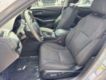 2025 Accord Thumbnail 11