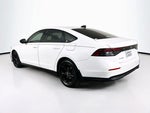 2025 Accord Thumbnail 4