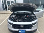 2025 Accord Thumbnail 32