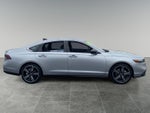 2024 Accord Hybrid Thumbnail 6