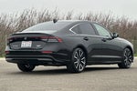 2024 Accord Hybrid Thumbnail 3