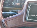 1986 Grand Wagoneer Thumbnail 21