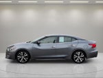 2018 Maxima Thumbnail 4