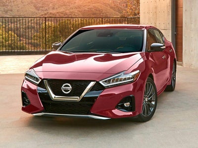 Photo of a 2019 Nissan Maxima 3.5 SL 4DR Sedan for sale