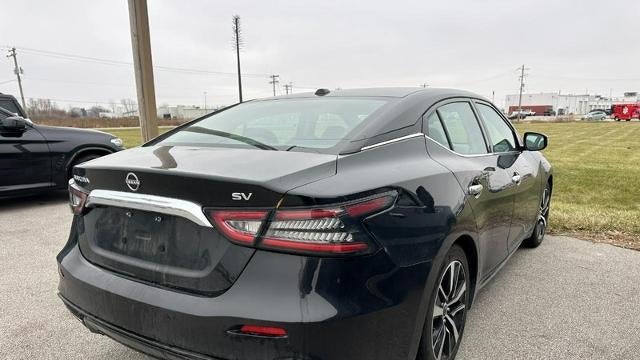 2023 Nissan Maxima 3.5 SV