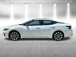 2023 Maxima Thumbnail 10