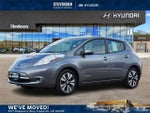2015 Leaf Thumbnail 1