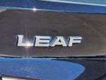 2020 Leaf Thumbnail 15