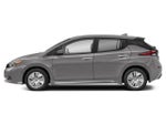 2025 Leaf Thumbnail 2