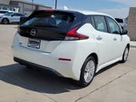 2025 Leaf Thumbnail 3