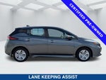 2025 Leaf Thumbnail 3