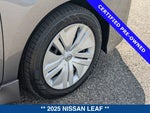 2025 Leaf Thumbnail 12