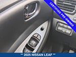 2025 Leaf Thumbnail 23