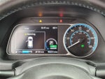 2018 Leaf Thumbnail 29