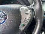 2016 Leaf Thumbnail 22